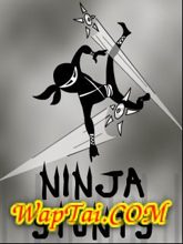 ninja stunts